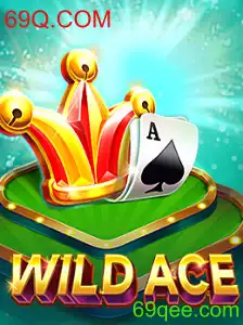 Descubra o Mundo Empolgante de WildAce em 69Q.COM